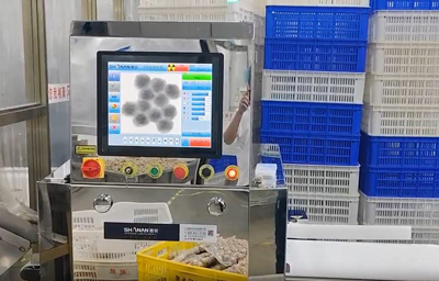 X光机检测牛肉丸